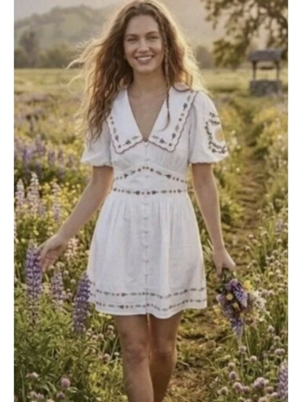 Caroline Constas Scallop Peter Pan Collar Floral Embroidered Dress ( 6 )